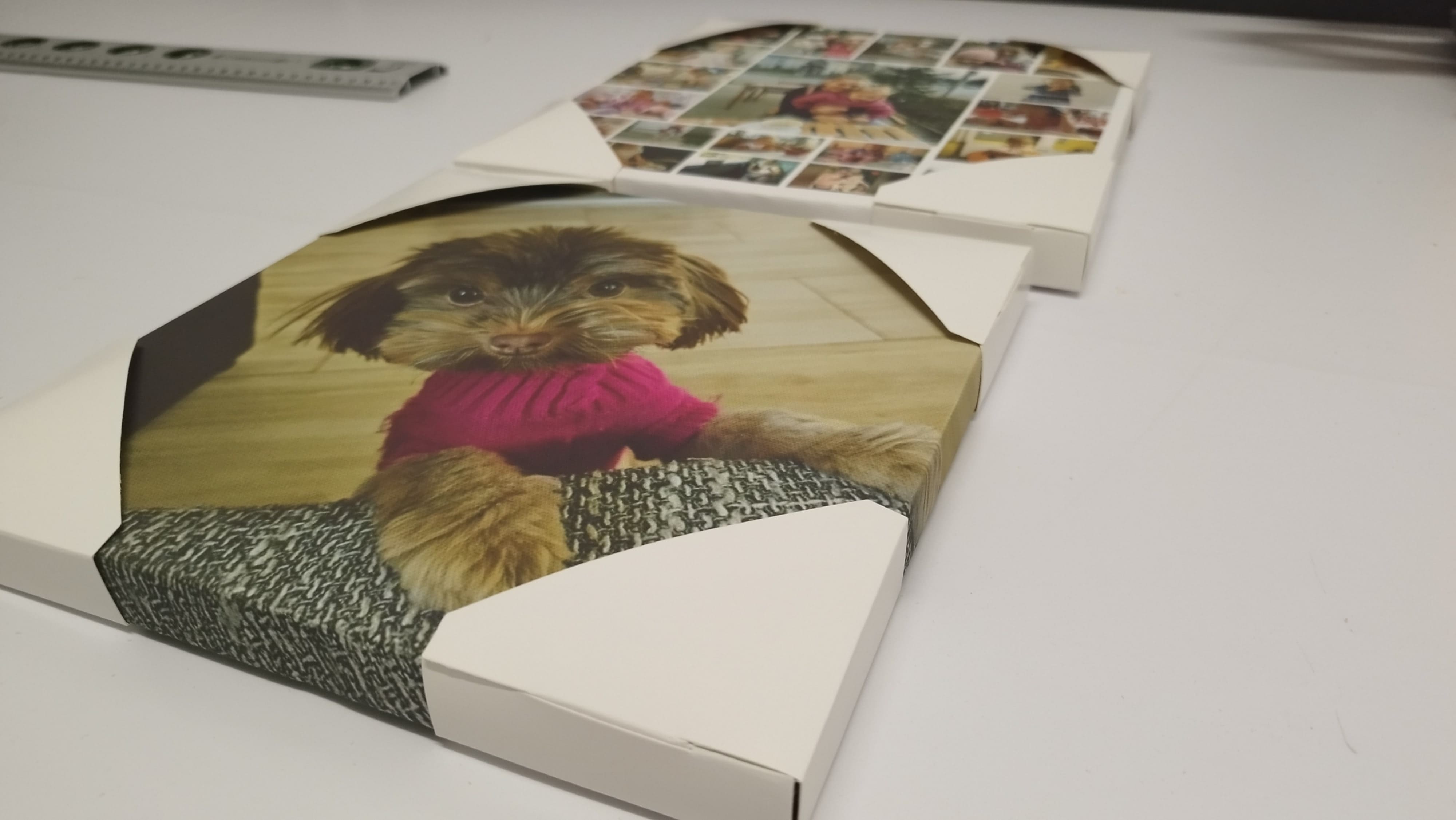 Kiskutya vászonkép csomagolásban